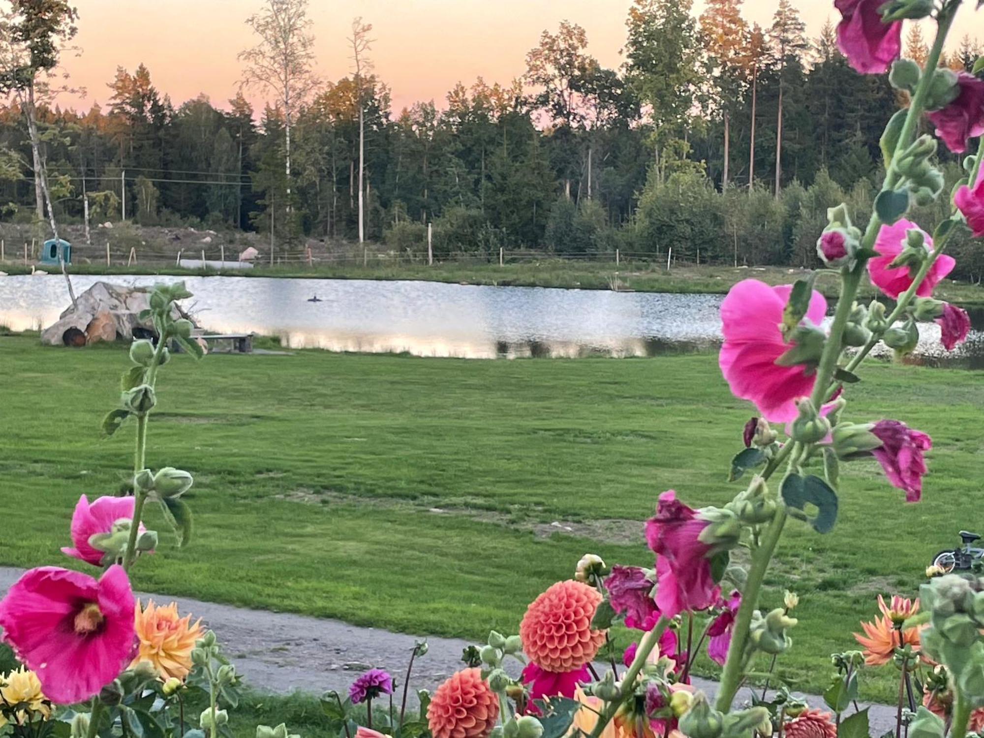Ny Laegenhet I Vesene Appartement Ljung Buitenkant foto